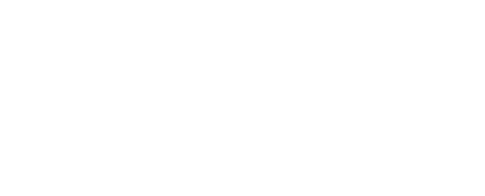 Piaggio Commercial